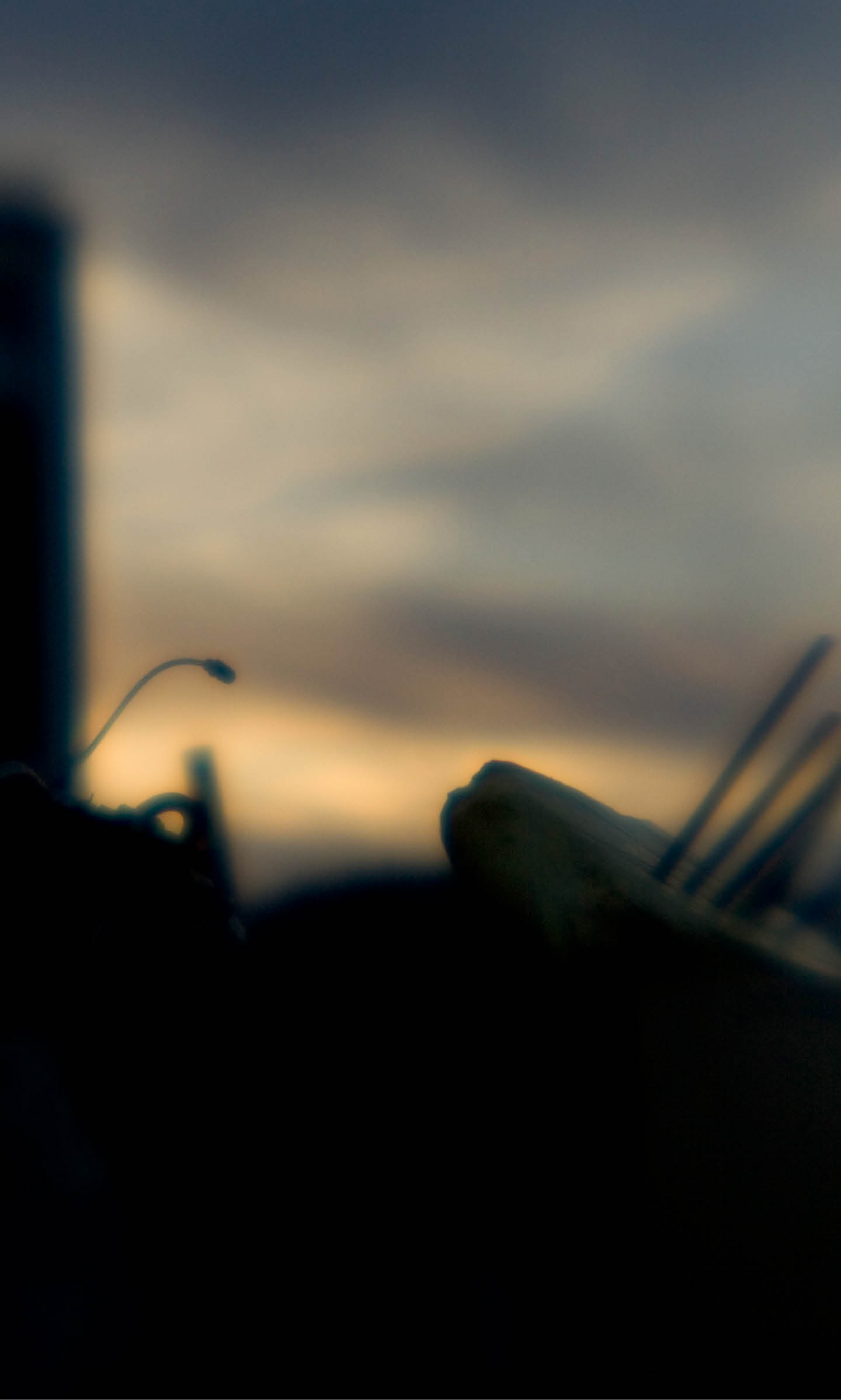 parallax image